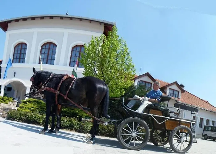 Bodrogi Kuria Wellness 4* Inárcs