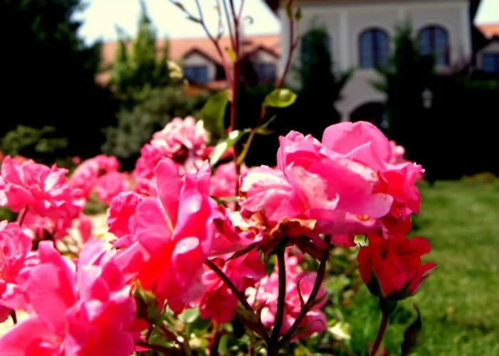 Bodrogi Kuria Wellness Inárcs